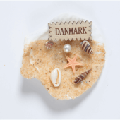 Magnet i Musling Danmark